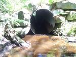 Culvert Crossing, Albany Twp, Maine