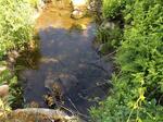 Culvert Crossing, Livermore, Maine