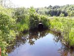 Culvert Crossing, Wales, Maine