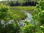 Culvert Crossing, Wales, Maine