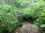 Culvert Crossing, Jay, Maine