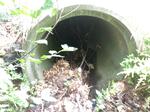 Culvert Crossing, Jay, Maine