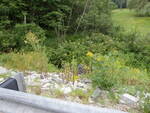Culvert Crossing at Boundary Rd, Standish, Maine