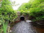 Culvert Crossing, Leeds, Maine