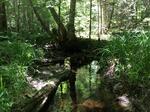 Culvert Crossing, Albany Twp, Maine