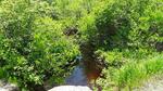 Culvert Crossing, Greene, Maine