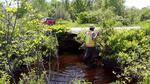 Culvert Crossing, Greene, Maine