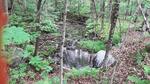 Culvert Crossing, Auburn, Maine