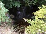 Culvert Crossing, Albany Twp, Maine