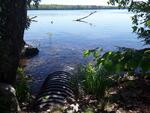 Culvert Crossing, Fayette, Maine