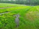 Culvert Crossing, Leeds, Maine