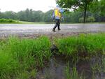 Culvert Crossing, Leeds, Maine