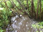 Culvert Crossing, Turner, Maine