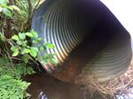 Culvert Crossing, Turner, Maine
