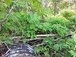 Culvert Crossing, Hammond, Maine