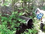 Culvert Crossing, Hammond, Maine