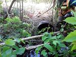 Culvert Crossing, Hammond, Maine