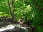 Culvert Crossing, Fayette, Maine