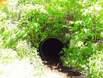 Culvert Crossing, Livermore, Maine
