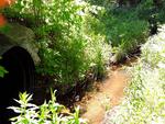 Culvert Crossing, Livermore, Maine