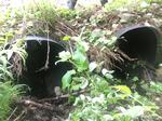 Multiple Culvert Crossing, Auburn, Maine
