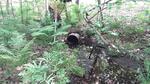 Culvert Crossing, Chesterville, Maine