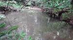 Culvert Crossing, Parlin Pond Twp, Maine