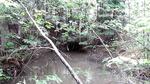 Culvert Crossing, Parlin Pond Twp, Maine