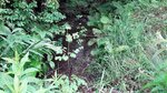Culvert Crossing, Parlin Pond Twp, Maine