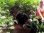 Culvert Crossing, Mount Vernon, Maine