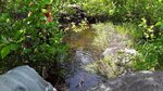 Culvert Crossing, Lowelltown Twp, Maine