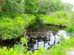 Multiple Culvert Crossing, Livermore Falls, Maine