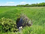 Culvert Crossing, Livermore Falls, Maine