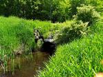 Culvert Crossing, Livermore Falls, Maine
