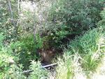 Culvert Crossing, Livermore Falls, Maine
