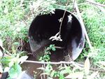 Culvert Crossing, Van Buren, Maine