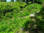 Culvert Crossing, Fayette, Maine