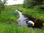 Culvert Crossing, Wayne, Maine