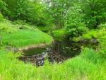 Culvert Crossing, Wayne, Maine