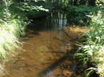 Culvert Crossing, Woodstock, Maine