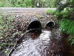 Multiple Culvert Crossing, Leeds, Maine