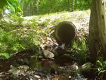 Culvert Crossing, Fayette, Maine