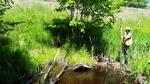 Culvert Crossing, Livermore Falls, Maine