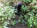 Culvert Crossing, Bethel, Maine