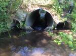 Culvert Crossing, Auburn, Maine