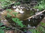 Culvert Crossing, Livermore, Maine