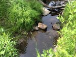 Culvert Crossing, Livermore, Maine