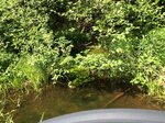Culvert Crossing, Livermore, Maine