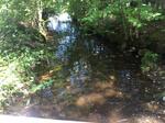 Culvert Crossing, Greenwood, Maine
