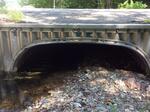 Culvert Crossing, Greenwood, Maine
